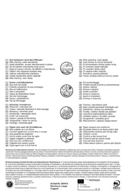 Narzisse California (23 Stück) | Narzissenzwiebeln Von Pegasus