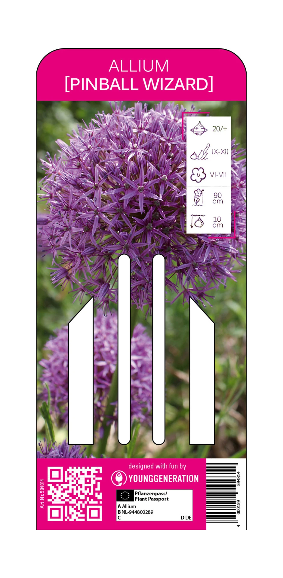 Zierlauch Pinball Wizard (1 Stück) | Zierlauch Von Young Generation 1 Zierlauch Pinball Wizard (1 Stück) | Zierlauch Von Young Generation