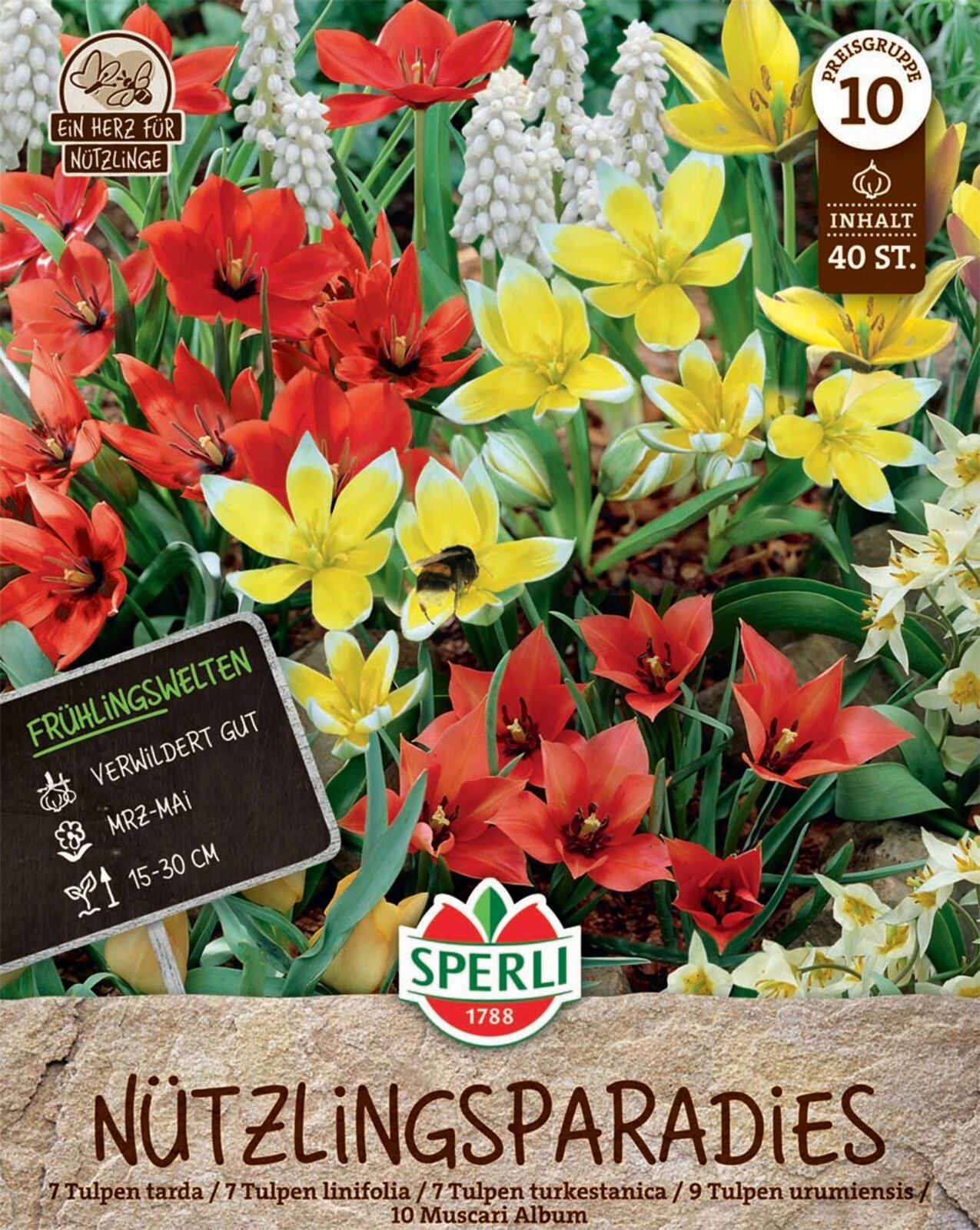 Frühlingsgarten Nützlingsparadies (40 Stück) | Blumenzwiebelmischungen Von Sperli 1 Frühlingsgarten Nützlingsparadies (40 Stück) | Blumenzwiebelmischungen Von Sperli
