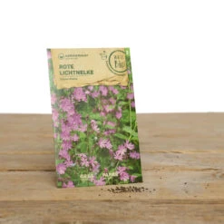 Wildblumen Set Stay Wild | BIO Wildblumensamen Von Samen Maier -Angebote Pegasus Store 549603 BIO Wildblumen Set Stay Wild A02 sm 1