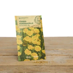 Wildblumen Set Stay Wild | BIO Wildblumensamen Von Samen Maier -Angebote Pegasus Store 549603 BIO Wildblumen Set Stay Wild A02 sm 2