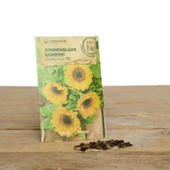 Blumen Set Bibi Balkonessa | BIO Blumensamen-Sets Von Samen Maier [MHD 12/2023] -Angebote Pegasus Store 549604 BIO Blumen Set Bibi Balkonessa A03 sm 2