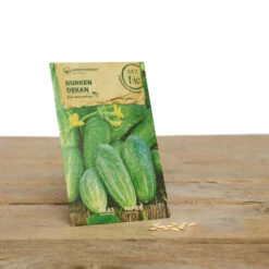 Bauerngarten Set Gitti Gartenschlau | BIO Gemüsesamen-Sets Von Samen Maier 7 Bauerngarten Set Gitti Gartenschlau | BIO Gemüsesamen-Sets Von Samen Maier -Angebote Pegasus Store 549608 BIO Bauerngarten Set Gitti Gartenschlau A07 sm 2