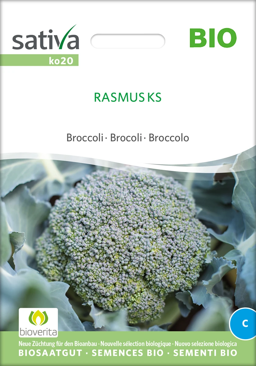 Brokkoli Rasmus | BIO Brokkolisamen Von Sativa Rheinau 2 Brokkoli Rasmus | BIO Brokkolisamen Von Sativa Rheinau – Bild 2