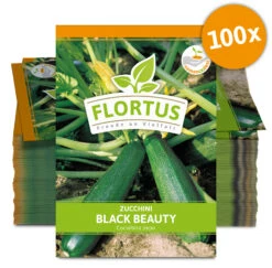 Zucchini Black Beauty (100 Stück) | Zucchinisamen Von FLORTUS -Angebote Pegasus Store 549854 Zucchini Black Beauty 100 Stueck 2000 0471 100x 0