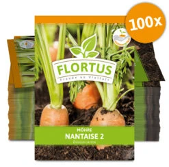 Möhre Nantaise 2 (100 Stück) | Möhrensamen Von FLORTUS -Angebote Pegasus Store 549855 Moehre Nantaise 2 100 Stueck 2000 0472 100x 0
