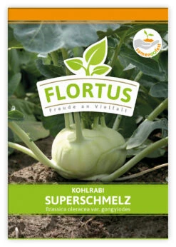 Kohlrabi Superschmelz (100 Stück) | Kohlrabisamen Von FLORTUS -Angebote Pegasus Store 549856 Kohlrabi Superschmelz 100 Stueck 2000 0473 100x 1
