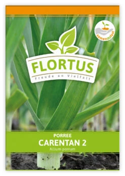 Lauch-Porree Carentan 2 (100 Stück) | Lauchsamen Von FLORTUS -Angebote Pegasus Store 549857 Lauch Porree Carentan 2 100 Stueck 2000 0474 100x 1