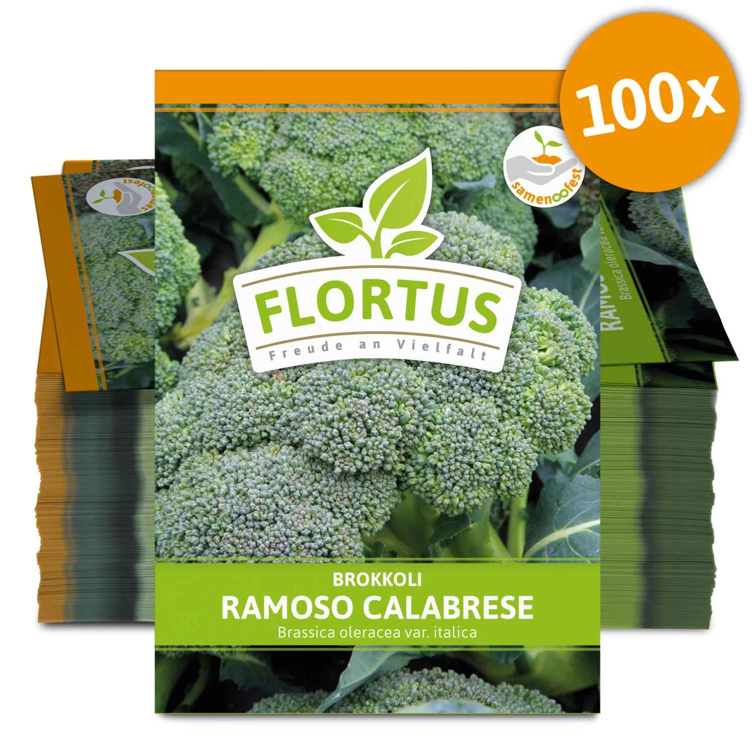 Brokkoli Ramoso Calabrese (100 Stück) | Brokkolisamen Von FLORTUS 3 Brokkoli Ramoso Calabrese (100 Stück) | Brokkolisamen Von FLORTUS – Bild 3