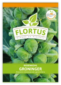Rosenkohl Groninger (100 Stück) | Rosenkohlsamen Von FLORTUS -Angebote Pegasus Store 549860 Rosenkohl Groninger 100 Stueck 2000 0477 100x 1