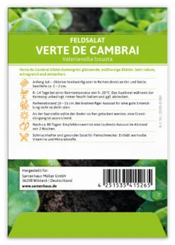 Feldsalat Verte De Cambrai (100 Stück) | Feldsalatsamen Von FLORTUS -Angebote Pegasus Store 549863 Feldsalat Verte de Cambrai 100 Stueck 2000 0480 100x 2
