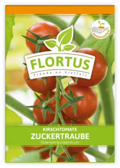 Kirschtomate Zuckertraube (100 Stück) | Kirschtomatensamen Von FLORTUS -Angebote Pegasus Store 549864 Kirschtomate Zuckertraube 100 Stueck 2000 0481 100x 1