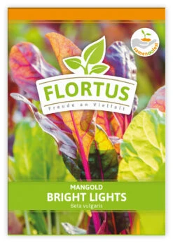 Mangold Bright Lights (100 Stück) | Mangoldsamen Von FLORTUS