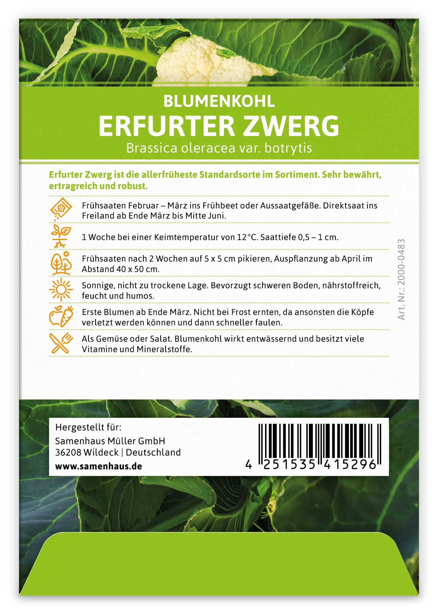 Blumenkohl Erfurter Zwerg (100 Stück) | Blumenkohlsamen Von FLORTUS 2 Blumenkohl Erfurter Zwerg (100 Stück) | Blumenkohlsamen Von FLORTUS – Bild 2