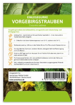 Einlegegurke Vorgebirgstrauben (100 Stück) | Einlegegurkensamen Von FLORTUS -Angebote Pegasus Store 549867 Einlegegurke Vorgebirgstrauben 100 Stueck 2000 0484 100x 2