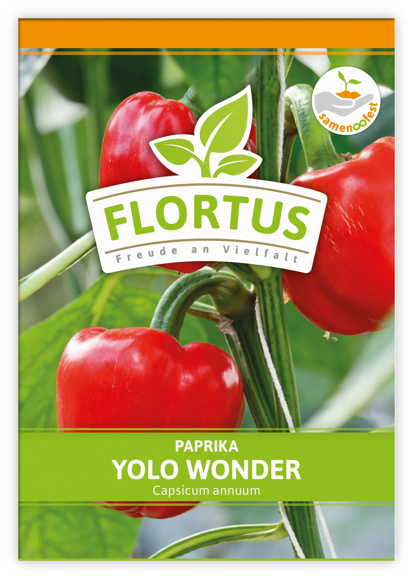 Paprika Yolo Wonder (100 Stück) | Paprikasamen Von FLORTUS 3 Paprika Yolo Wonder (100 Stück) | Paprikasamen Von FLORTUS – Bild 3