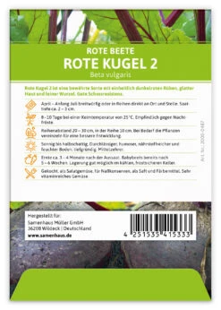 Rote Beete Rote Kugel 2 (100 Stück) | Rote Beetesamen Von FLORTUS -Angebote Pegasus Store 549870 Rote Beete Rote Kugel 2 100 Stueck 2000 0487 100x 2