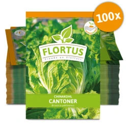 Chinakohl Cantoner (100 Stück) | Chinakohlsamen Von FLORTUS -Angebote Pegasus Store 549871 Chinakohl Cantoner 100 Stueck 2000 0488 100x 0