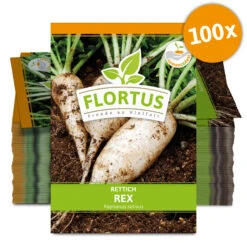 Rettich Rex (100 Stück) | Rettichsamen Von FLORTUS -Angebote Pegasus Store 549872 Rettich Rex 100 Stueck 2000 0489 100x 0