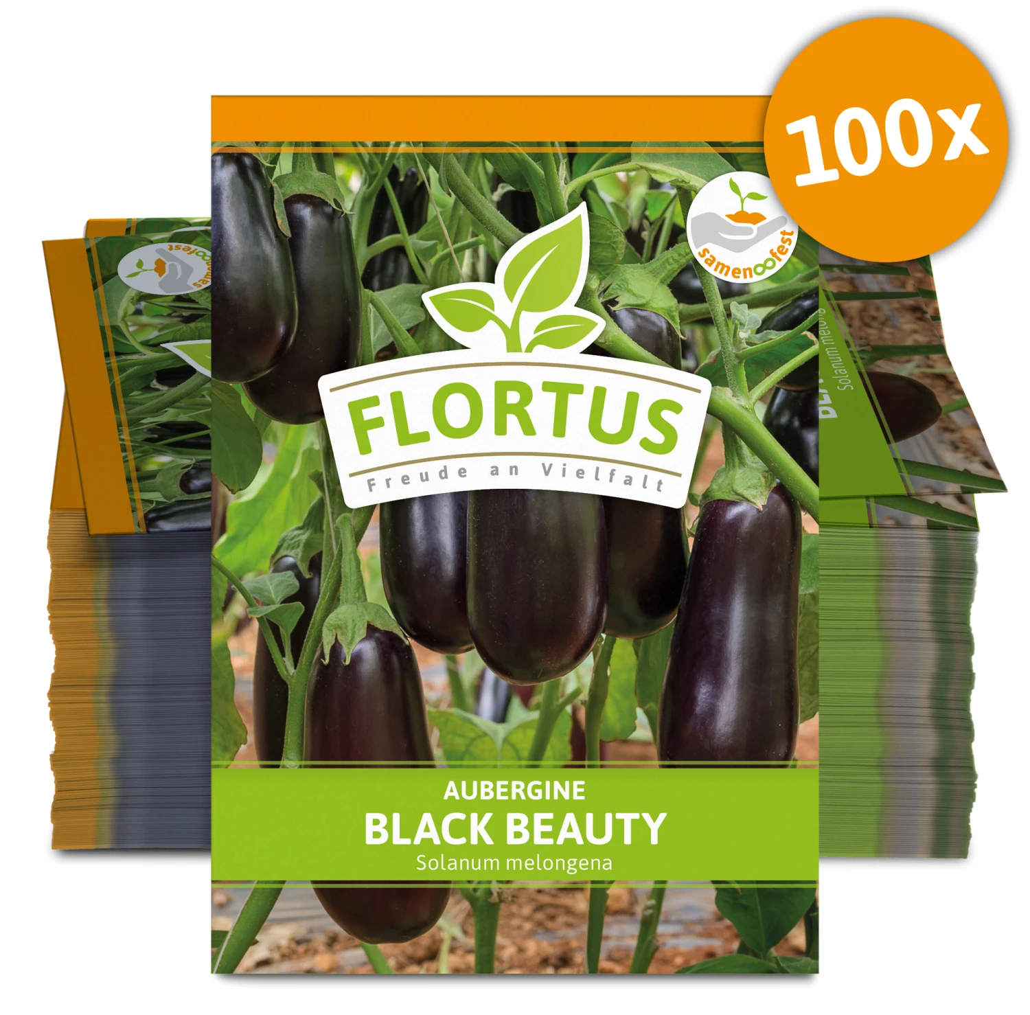 Aubergine Black Beauty (100 Stück) | Auberginensamen Von FLORTUS 2 Aubergine Black Beauty (100 Stück) | Auberginensamen Von FLORTUS – Bild 2