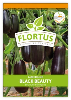 Aubergine Black Beauty (100 Stück) | Auberginensamen Von FLORTUS 5 Aubergine Black Beauty (100 Stück) | Auberginensamen Von FLORTUS -Angebote Pegasus Store 549874 Aubergine Black Beauty 100 Stueck 2000 0491 100x 1