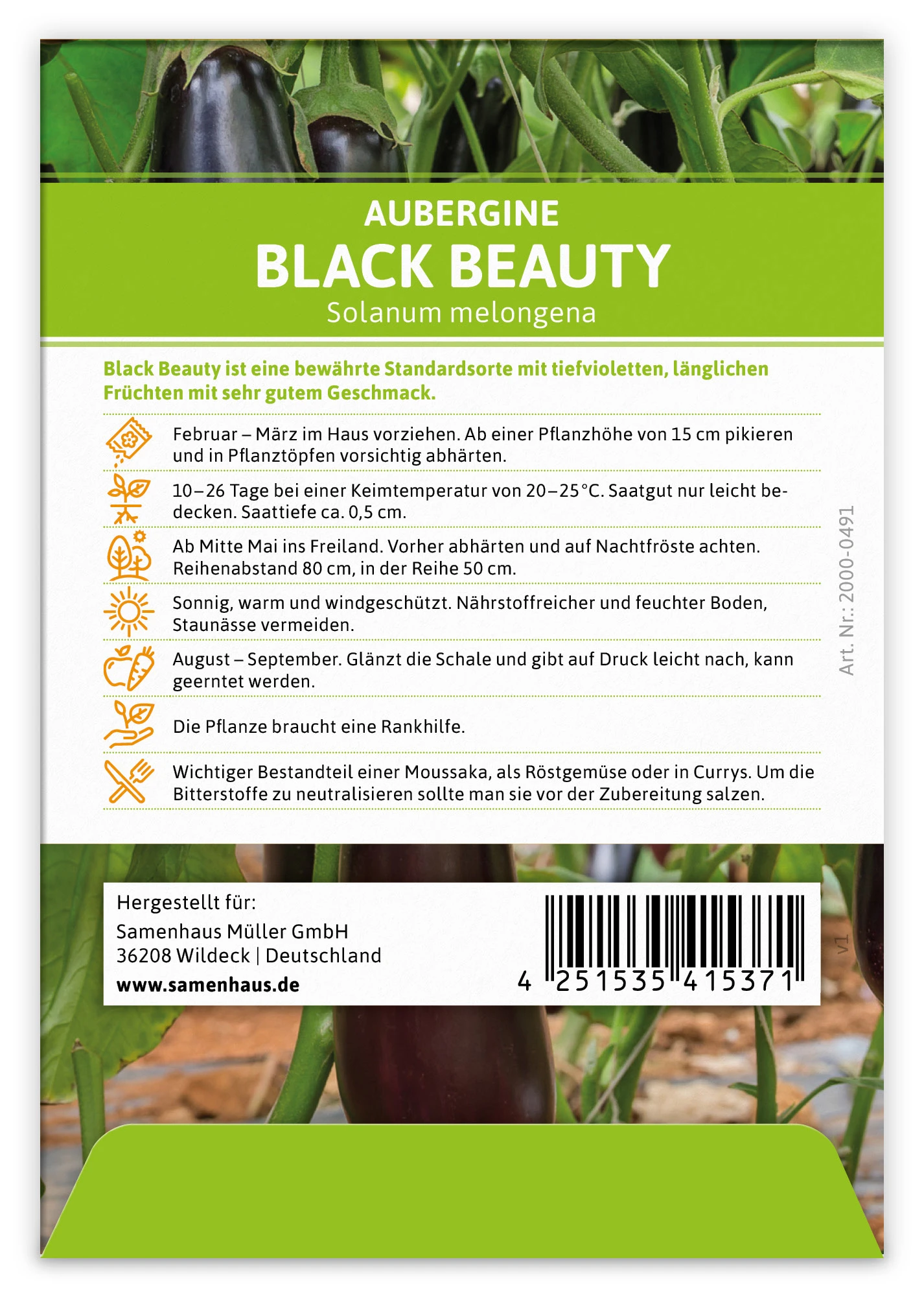 Aubergine Black Beauty (100 Stück) | Auberginensamen Von FLORTUS 1 Aubergine Black Beauty (100 Stück) | Auberginensamen Von FLORTUS