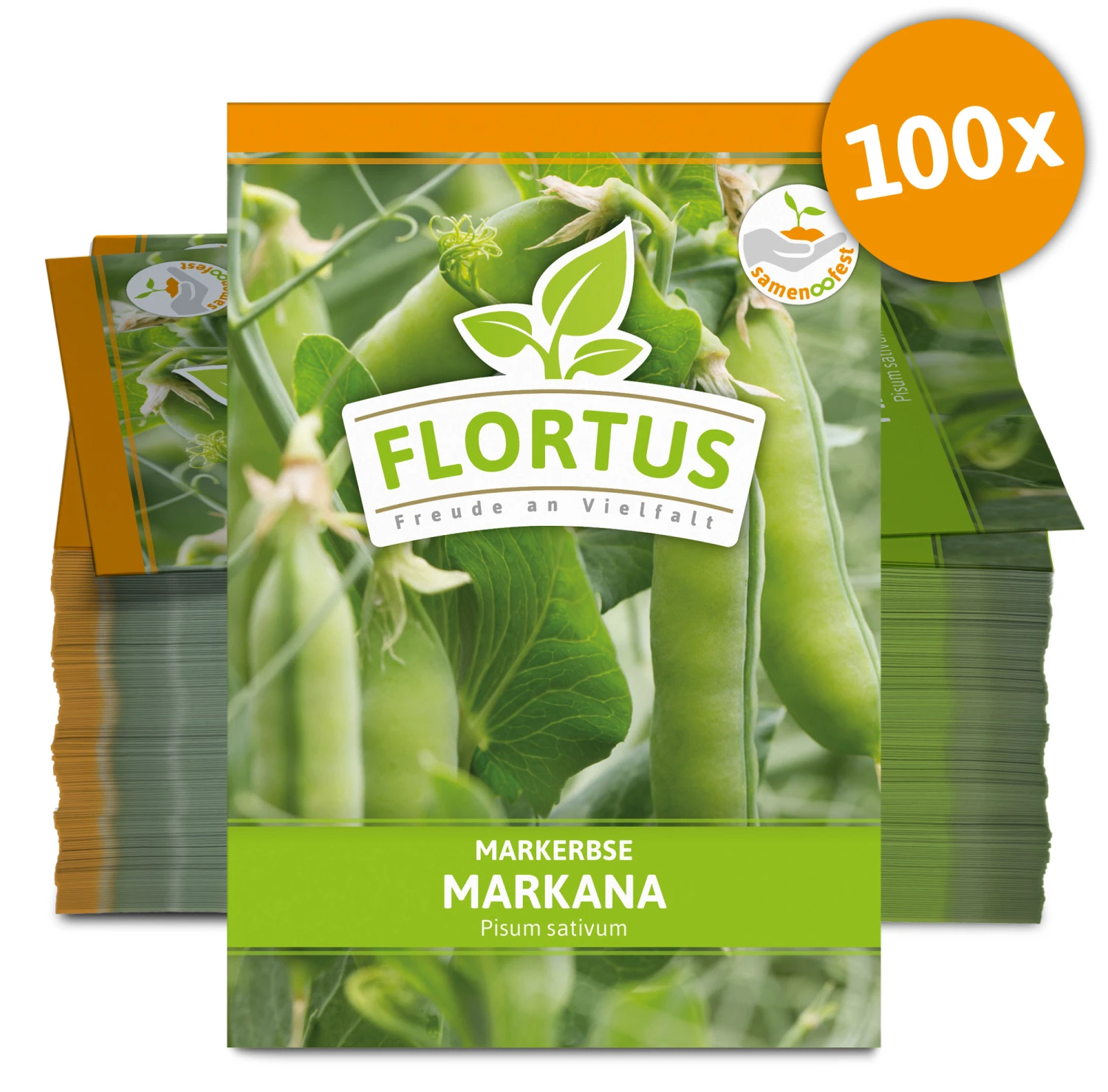 Markerbse Markana (100 Stück) | Markerbsensamen Von FLORTUS 3 Markerbse Markana (100 Stück) | Markerbsensamen Von FLORTUS – Bild 3