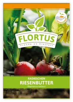 Radieschen Riesenbutter (100 Stück) | Radieschensamen Von FLORTUS -Angebote Pegasus Store 549876 Radieschen Riesenbutter 100 Stueck 2000 0493 100x 1
