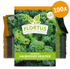 Grünkohl Halbhoher Krauser (100 Stück) | Grünkohlsamen Von FLORTUS 5 Grünkohl Halbhoher Krauser (100 Stück) | Grünkohlsamen Von FLORTUS -Angebote Pegasus Store 549878 Gruenkohl Halbhoher Krauser 100 Stueck 2000 0495 100x 0