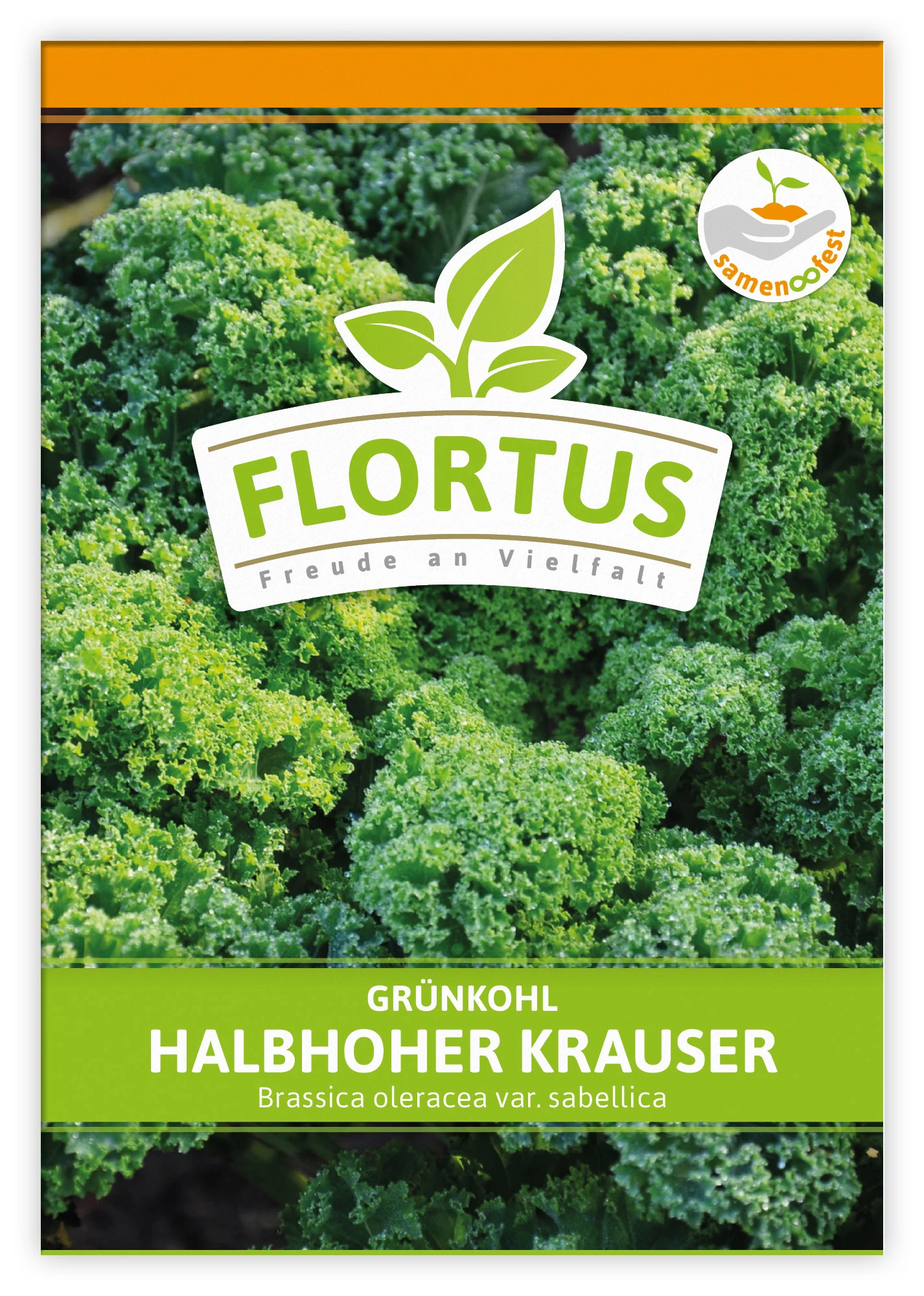 Grünkohl Halbhoher Krauser (100 Stück) | Grünkohlsamen Von FLORTUS 2 Grünkohl Halbhoher Krauser (100 Stück) | Grünkohlsamen Von FLORTUS – Bild 2