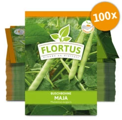 Buschbohne Maja (100 Stück) | Buschbohnensamen Von FLORTUS -Angebote Pegasus Store 549880 Buschbohne Maja 100 Stueck 2000 0497 100x 0