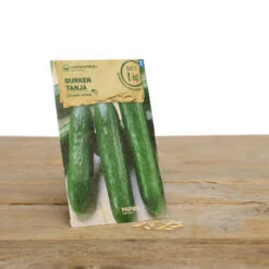 Gewächshaus Set Albert Pflanzfein | BIO Gemüsesamen-Sets Von Samen Maier 9 Gewächshaus Set Albert Pflanzfein | BIO Gemüsesamen-Sets Von Samen Maier -Angebote Pegasus Store 550509 BIO Gewaechshaus Set Albert Pflanzfein A08 sm 4