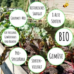 Gourmetgarten 8 Alte Sorten Set | BIO Gemüsesamen-Sets Von Biobalu -Angebote Pegasus Store 550615 BIO Gourmetgarten 8 Alte Sorten Set BB1009 4
