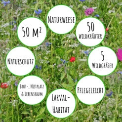 Bienenweide Mit Wildgräsern (Naturwiese) | Bienenwiese Von Biobalu -Angebote Pegasus Store 550629 Bienenweide mit Wildgraesern Naturwiese BB1016 3