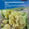 Sprossenblumenkohl Blumini F1 | Blumenkohlsamen Von Kiepenkerl
