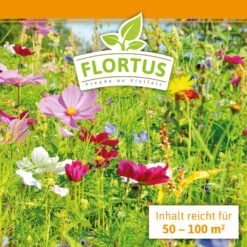 Blumenwiese (1/2 L Doypack) | Blumenwiese Von FLORTUS 11 Blumenwiese (1/2 L Doypack) | Blumenwiese Von FLORTUS -Angebote Pegasus Store 551641 Blumenwiese 1 2 Liter Doypack 2000 0186 3