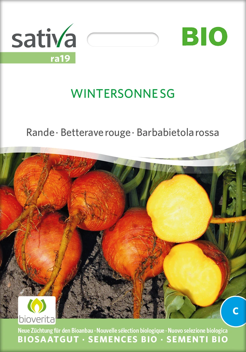 Rote Rübe Wintersonne SG | BIO Rote Beetesamen Von Sativa Rheinau 2 Rote Rübe Wintersonne SG | BIO Rote Beetesamen Von Sativa Rheinau – Bild 2