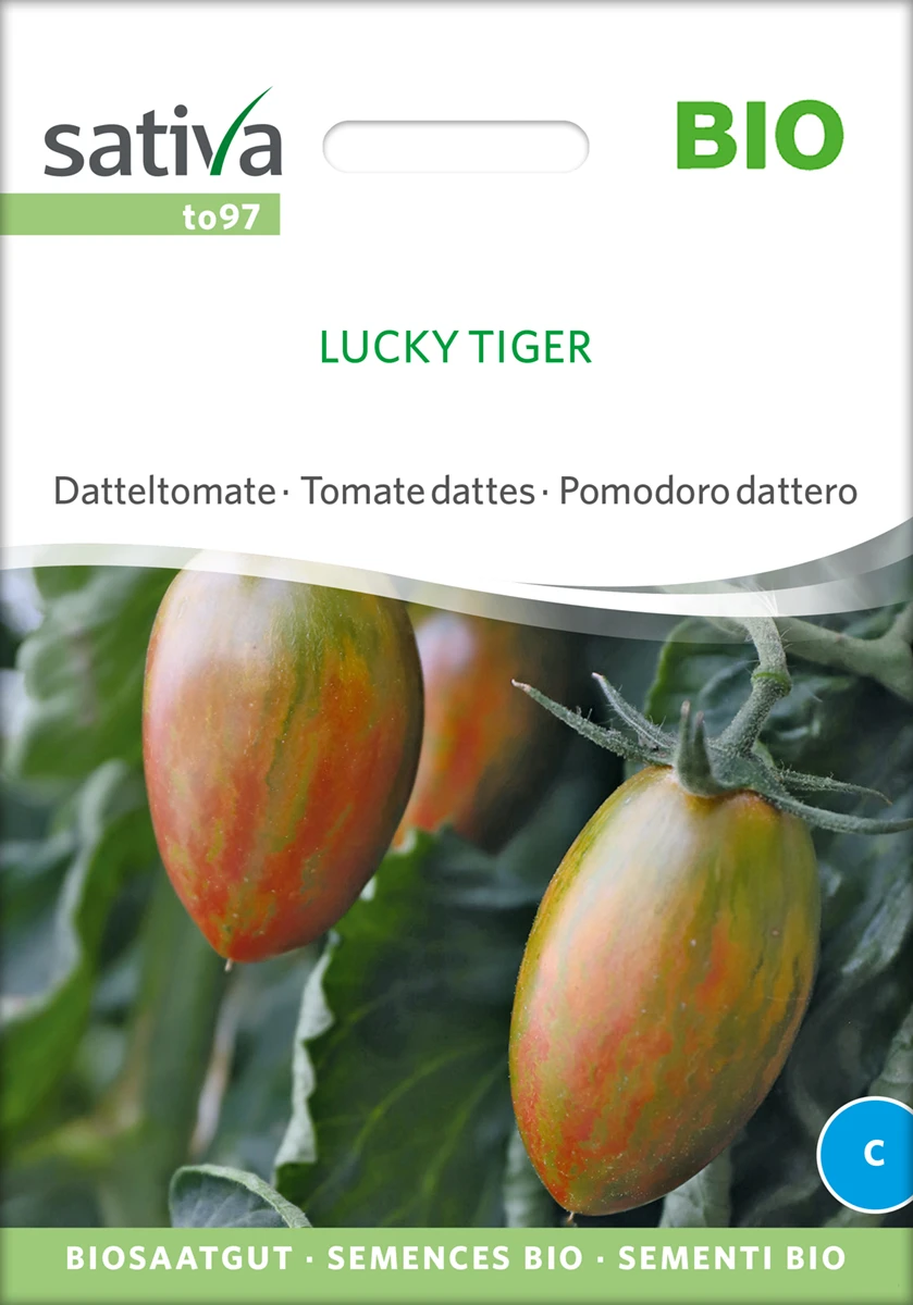 Datteltomate Lucky Tiger | BIO Stabtomatensamen Von Sativa Rheinau 1 Datteltomate Lucky Tiger | BIO Stabtomatensamen Von Sativa Rheinau