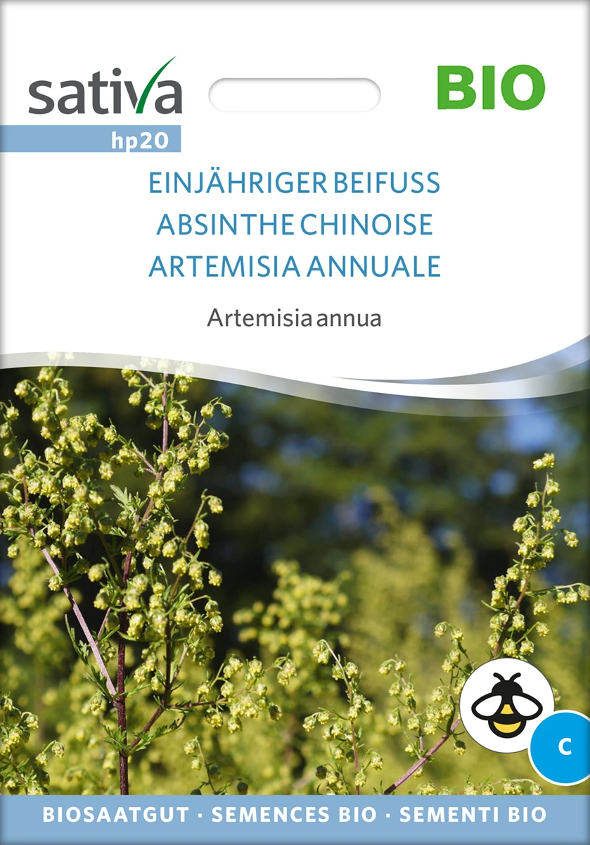 Einjähriger Beifuss | BIO Heilpflanzensamen Von Sativa Rheinau 1 Einjähriger Beifuss | BIO Heilpflanzensamen Von Sativa Rheinau