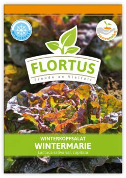 Winterkopfsalat Wintermarie (100 Tütchen) | Kopfsalatsamen Von FLORTUS -Angebote Pegasus Store 551876 Winterkopfsalat Wintermarie 100 Tuetchen 2000 0560 100x 1