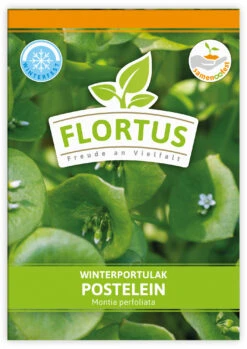 Winterportulak Postelein (100 Tütchen) | Portulaksamen Von FLORTUS 10 Winterportulak Postelein (100 Tütchen) | Portulaksamen Von FLORTUS -Angebote Pegasus Store 551880 Winterportulak Postelein 100 Tuetchen 2000 0562 0 1