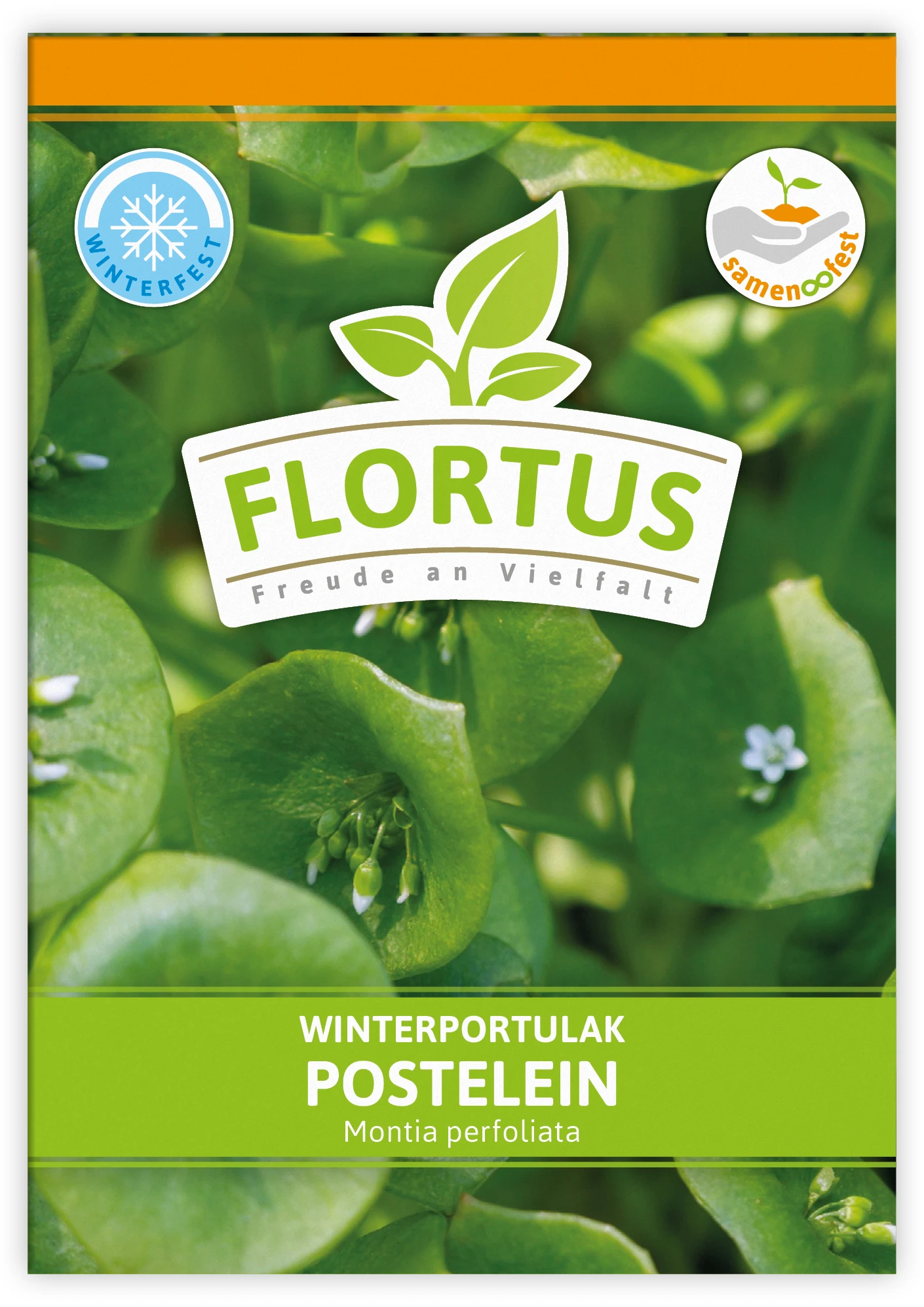 Winterportulak Postelein (100 Tütchen) | Portulaksamen Von FLORTUS 5 Winterportulak Postelein (100 Tütchen) | Portulaksamen Von FLORTUS – Bild 5
