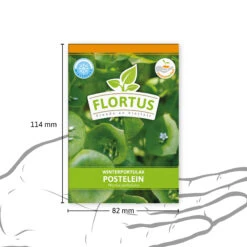 Winterportulak Postelein (100 Tütchen) | Portulaksamen Von FLORTUS 8 Winterportulak Postelein (100 Tütchen) | Portulaksamen Von FLORTUS -Angebote Pegasus Store 551880 Winterportulak Postelein 100 Tuetchen 2000 0562 3