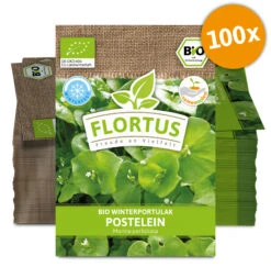 Winterportulak Postelein (100 Tütchen) | BIO Portulaksamen Von FLORTUS 9 Winterportulak Postelein (100 Tütchen) | BIO Portulaksamen Von FLORTUS -Angebote Pegasus Store 551882 BIO Winterportulak Postelein 100 Tuetchen 2000 0563 100x 0 1