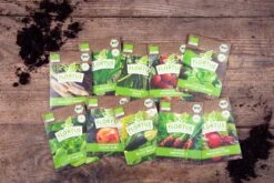 Gemüse Saatgut Archiv Holzbox (10 Tütchen + Register) | BIO Gemüsesamen-Sets Von FLORTUS -Angebote Pegasus Store 551883 BIO Saatgut Archiv Holzbox 10 Tuetchen Register 2000 0564 2