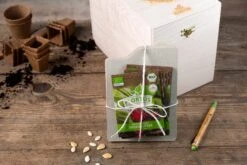 Gemüse Saatgut Archiv Holzbox (10 Tütchen + Register) | BIO Gemüsesamen-Sets Von FLORTUS -Angebote Pegasus Store 551883 BIO Saatgut Archiv Holzbox 10 Tuetchen Register 2000 0564 3