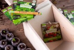 Gemüse Saatgut Archiv Holzbox (10 Tütchen + Register) | BIO Gemüsesamen-Sets Von FLORTUS -Angebote Pegasus Store 551883 BIO Saatgut Archiv Holzbox 10 Tuetchen Register 2000 0564 6