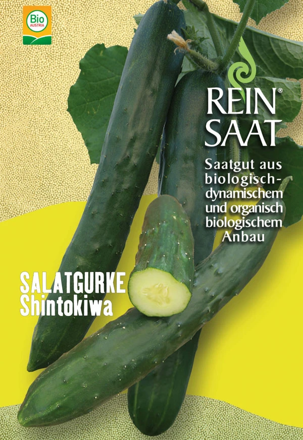Freilandgurke Shintokiwa | BIO Freilandgurkensamen Von Reinsaat 1 Freilandgurke Shintokiwa | BIO Freilandgurkensamen Von Reinsaat