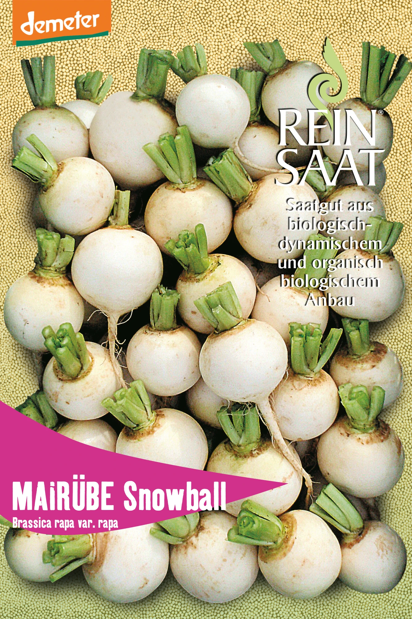 Mairübe Snowball | BIO Mairübensamen Von Reinsaat 1 Mairübe Snowball | BIO Mairübensamen Von Reinsaat