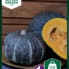 Kürbis Delica F1 | Kürbissamen Von Nelson Garden